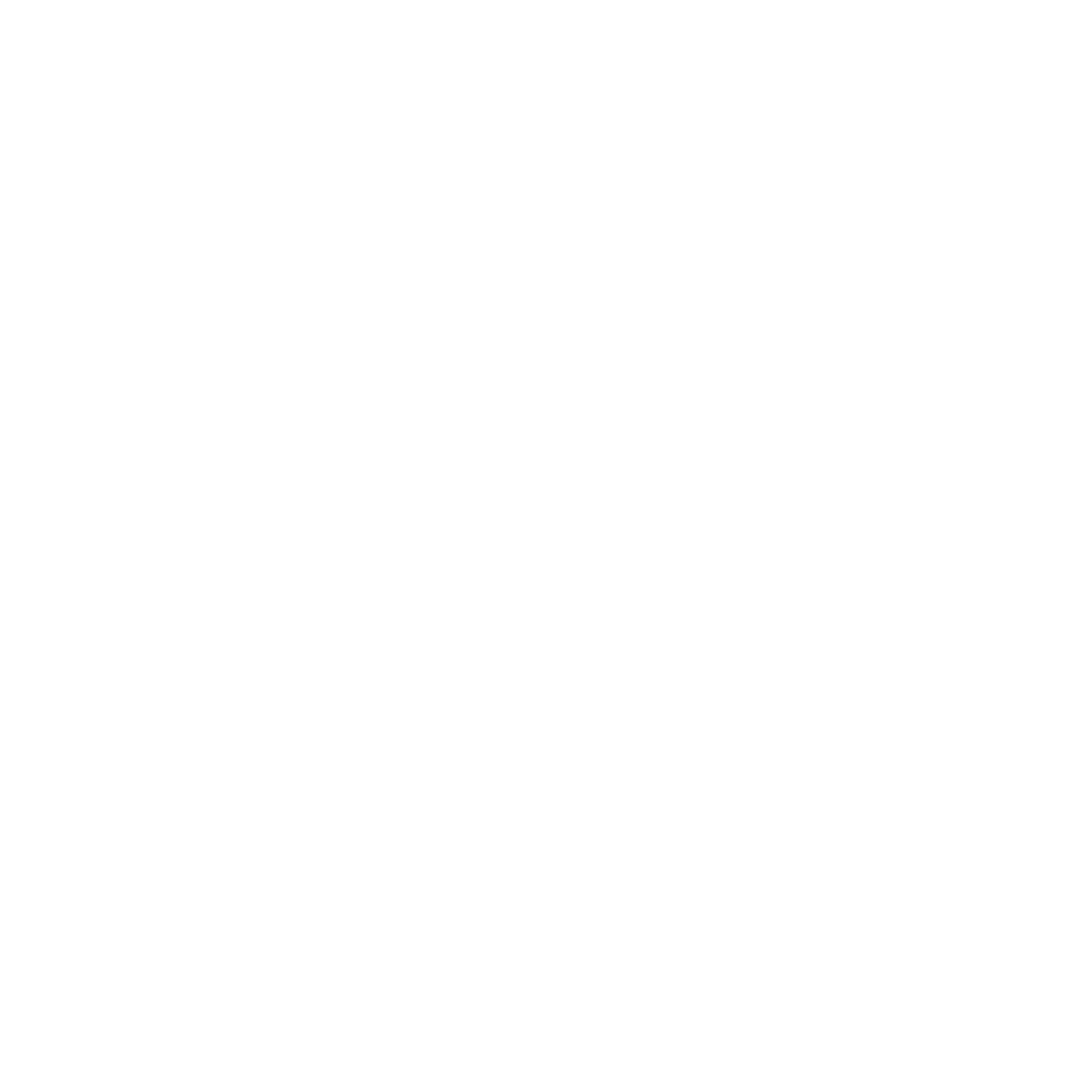 Boomsoss Logo